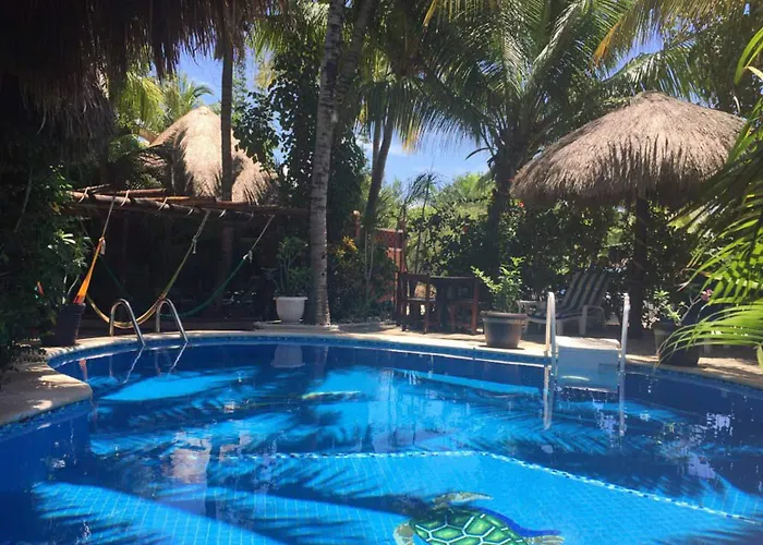 Cocos Adults Only Playa del Carmen