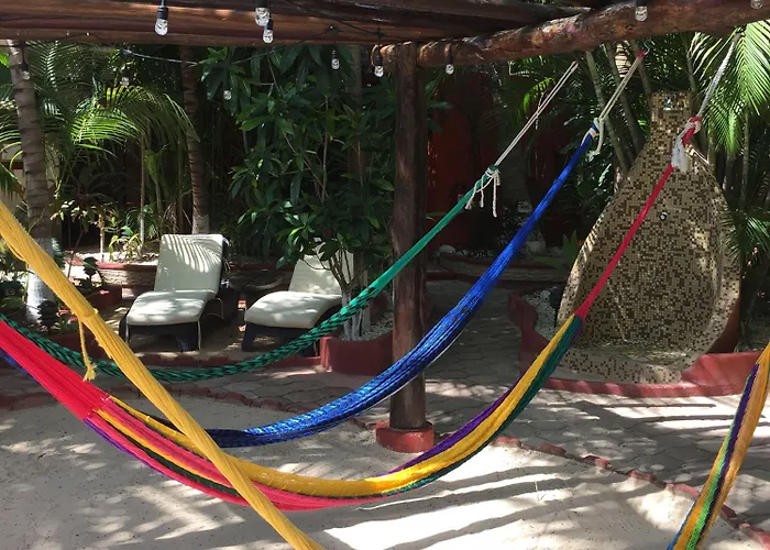 Cocos Adults Only