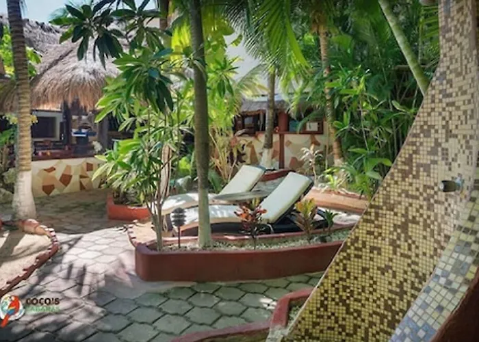 Cocos Adults Only 3*