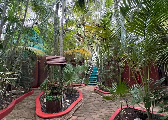 Cocos Adults Only 3* Playa del Carmen