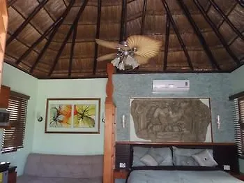Cocos Adults Only 3* Playa del Carmen